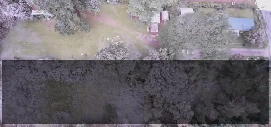 407 1st Street, Willis, TX 77378 - #2