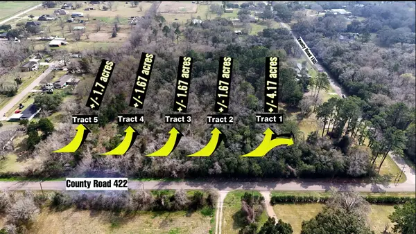 00000 County Road 422-tract 5, Alvin, TX 77511
