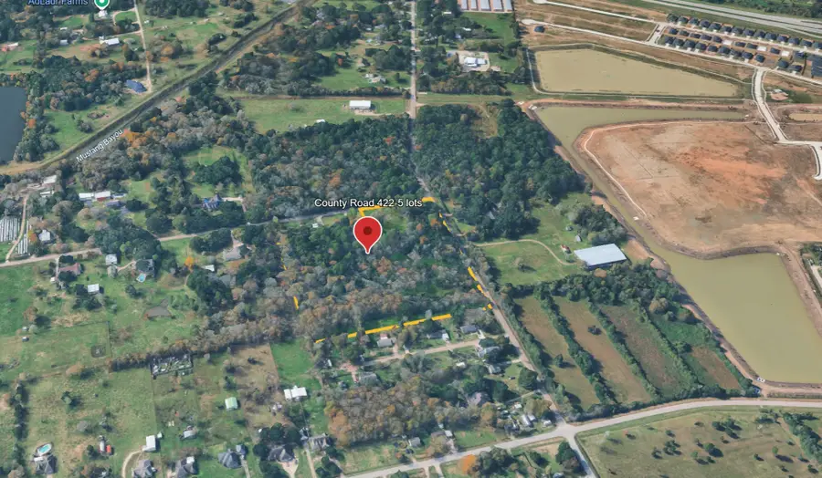 00000 County Road 422-tract 5, Alvin, TX 77511 - #3