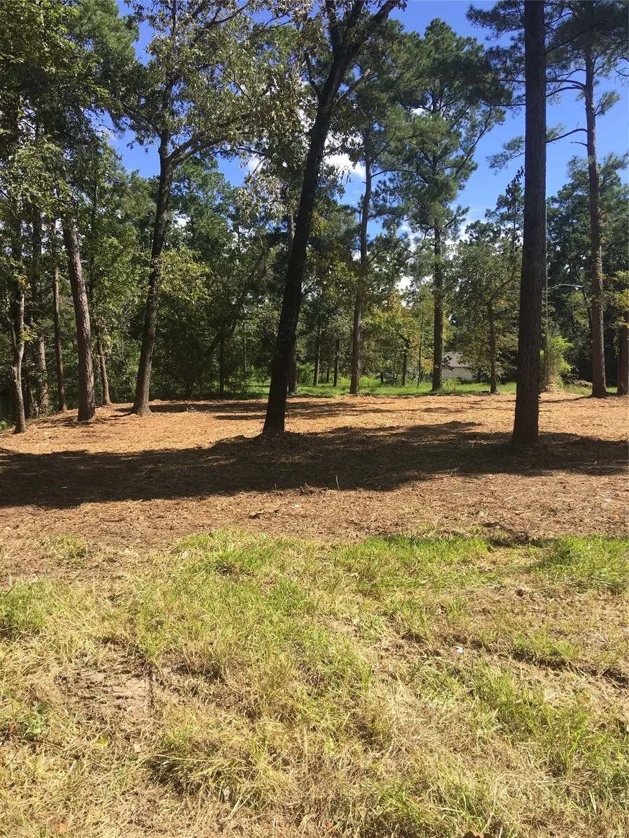 0 0 Big Deer Drive, Northeast Harris, TX 77532 - #2