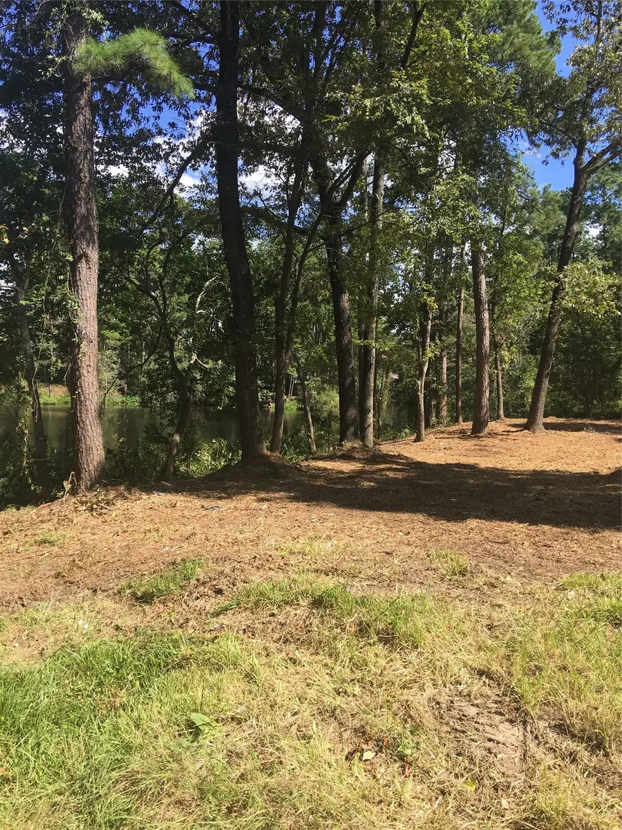 0 0 Big Deer Drive, Northeast Harris, TX 77532 - #3