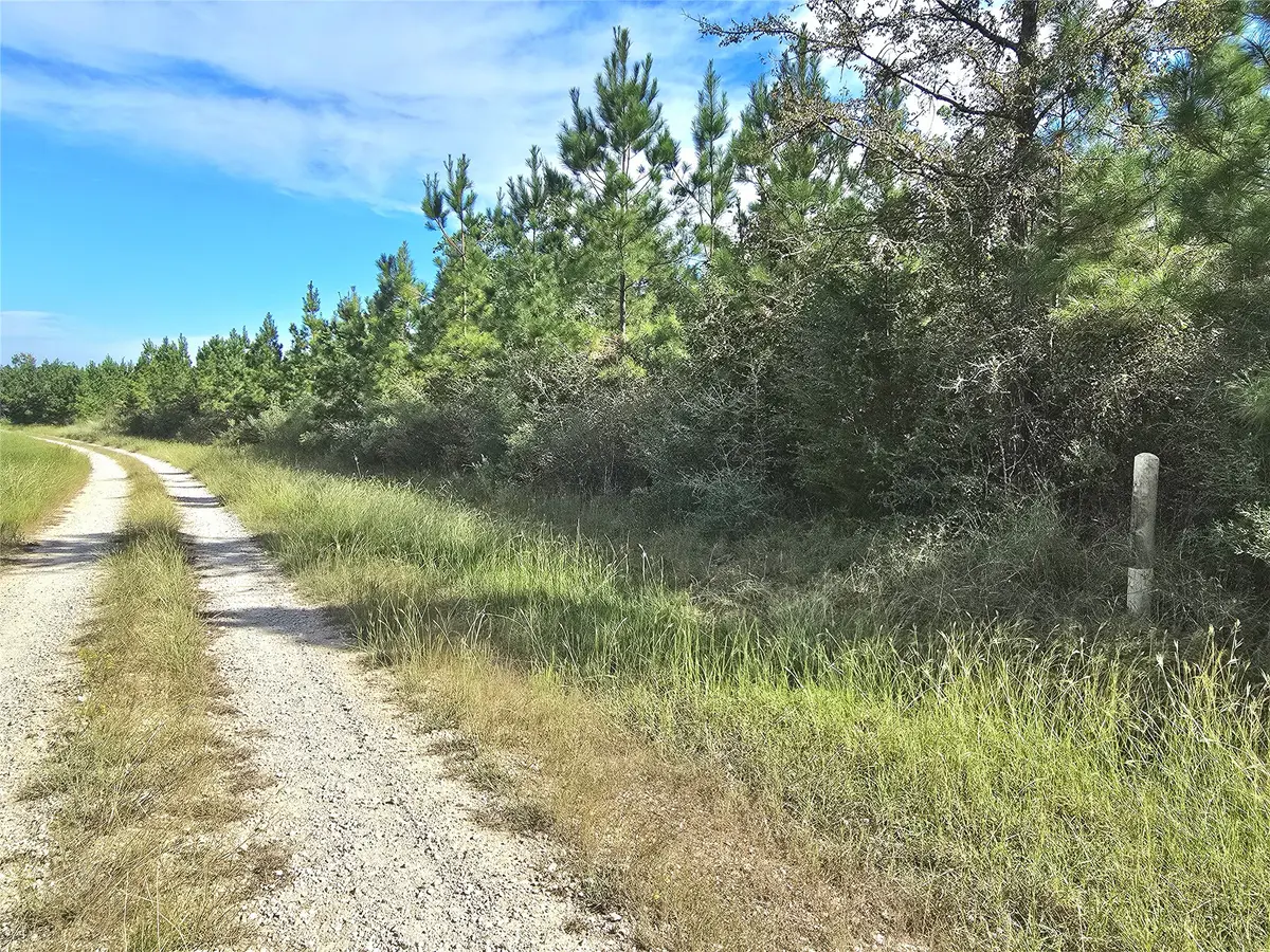TBD Rice Road E, Camden, TX 75934 - #1