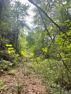 LOT 8 BLOCK 22 Lonestar Road, Huntsville, TX 77340 - #2