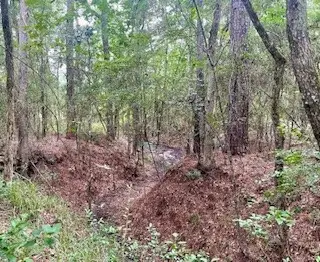 LOT 8 BLOCK 22 Lonestar Road, Huntsville, TX 77340 - #3