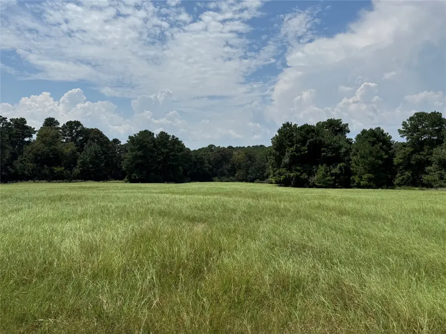 TBD Tbd Us Highway 287 N, Grapeland, TX 75844 - Image #2