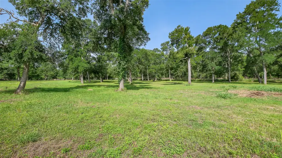 15610 Tierra Grande Drive, Needville, TX 77461 - Image #2