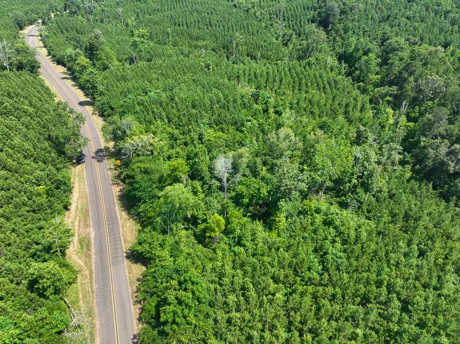 01 State Road 35, Geneva, TX 75959 - Image #3