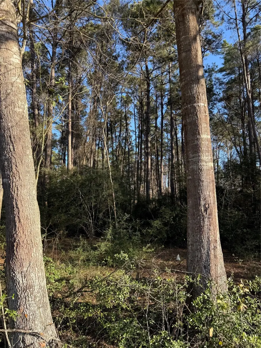 583 County Road 2286, Cleveland, TX 77327 - #3