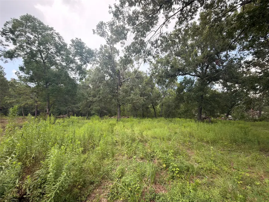 278 County Road 6502 W, Dayton, TX 77535 - #3