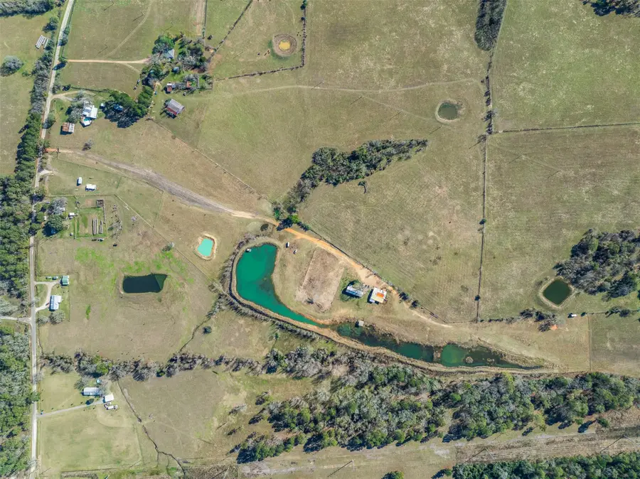 10802 County Road 203, Plantersville, TX 77363 - Image #2