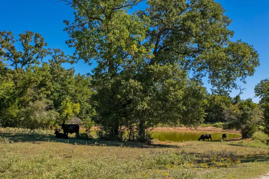 11041 Jackrabbit Lane, Bryan, TX 77808 - Image #2