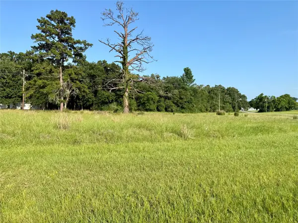 254 Hot Springs Drive, Trinity, TX 75862