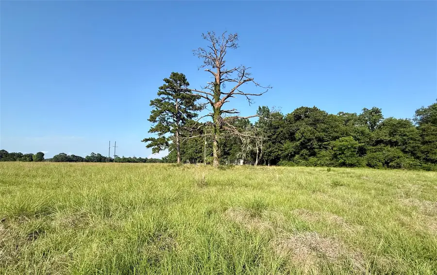 254 Hot Springs Drive, Trinity, TX 75862 - #2
