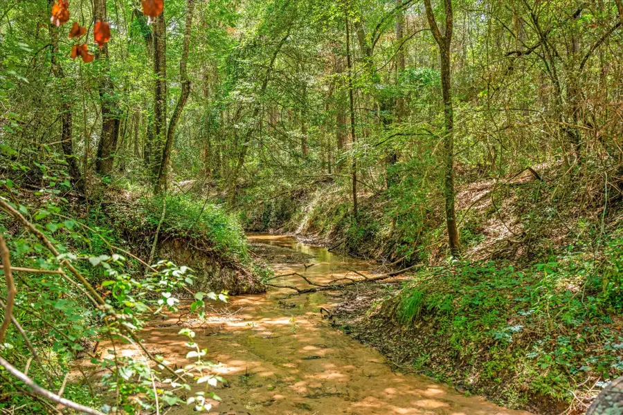 6888 County Road 344, Navasota, TX 77868 - Image #3