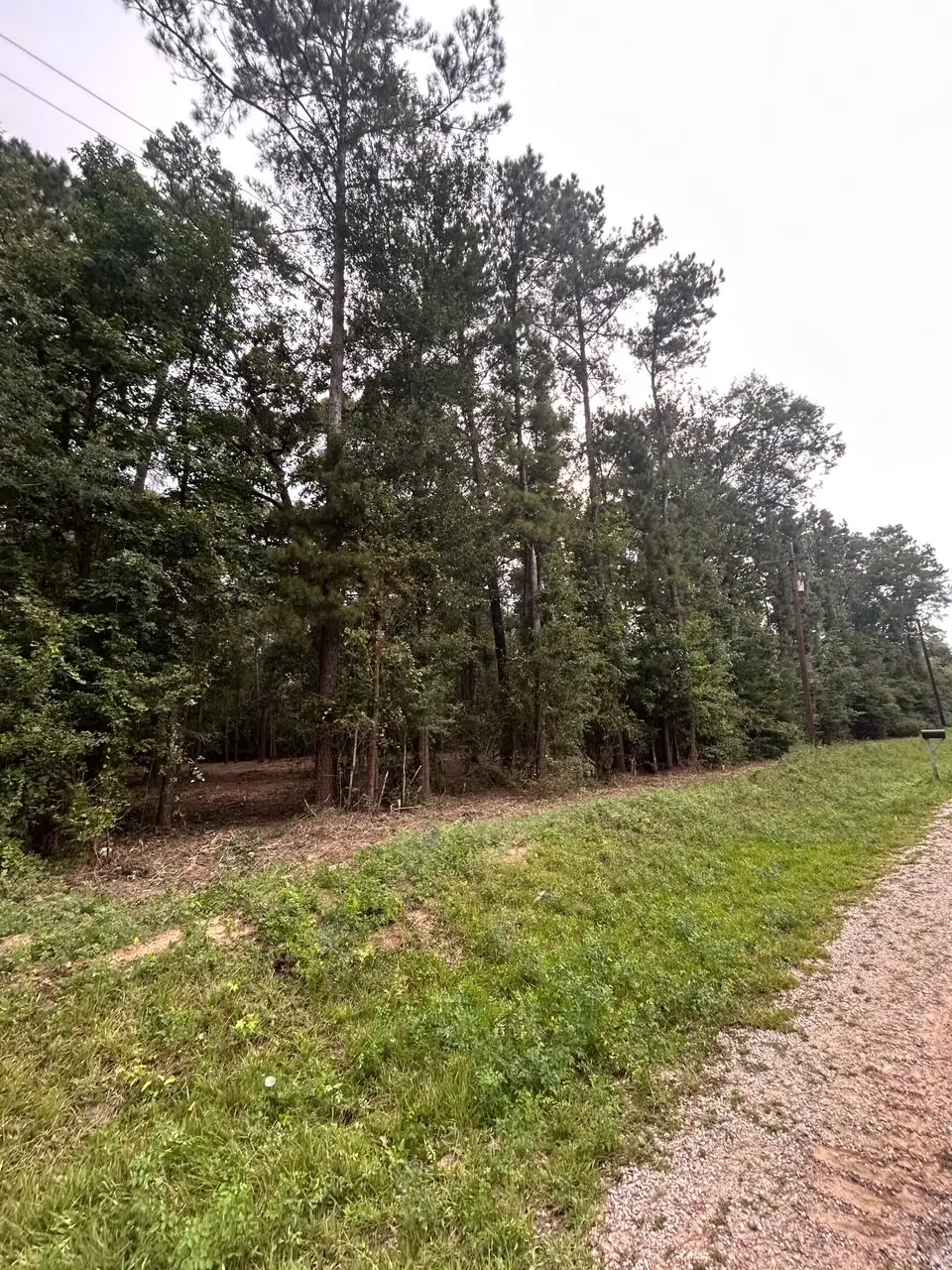 0 Wonderland Drive, Shepherd, TX 77371 - Image #1