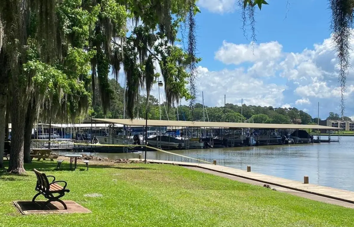 43 Shetland Lane, Coldspring, TX 77331 - #1