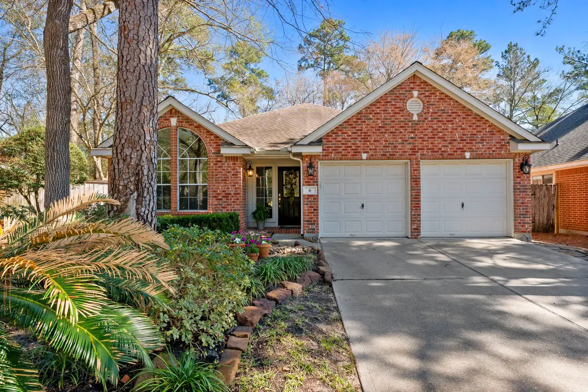 6 Orchard Dale Circle, The Woodlands, TX 77382 - #1