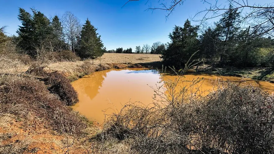 TBD #3 County Road 477, Henderson, TX 75654 - #2