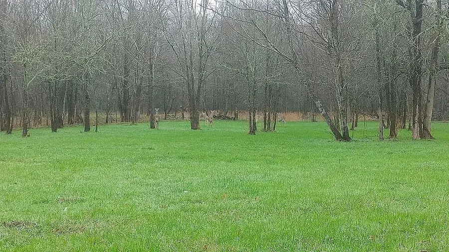 278 Country Way, Smithville, TX 78957 - Image #3