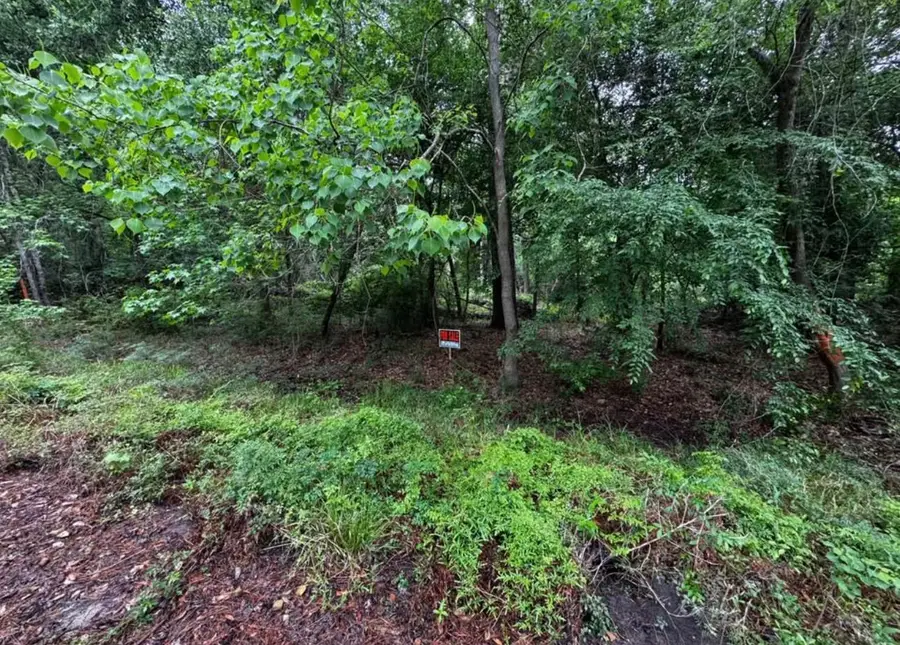 0 Lakelane Drive, Houston, TX 77338 - #3