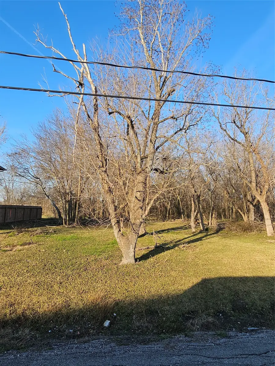 0 N Lehall Avenue, Houston, TX 77021 - #2
