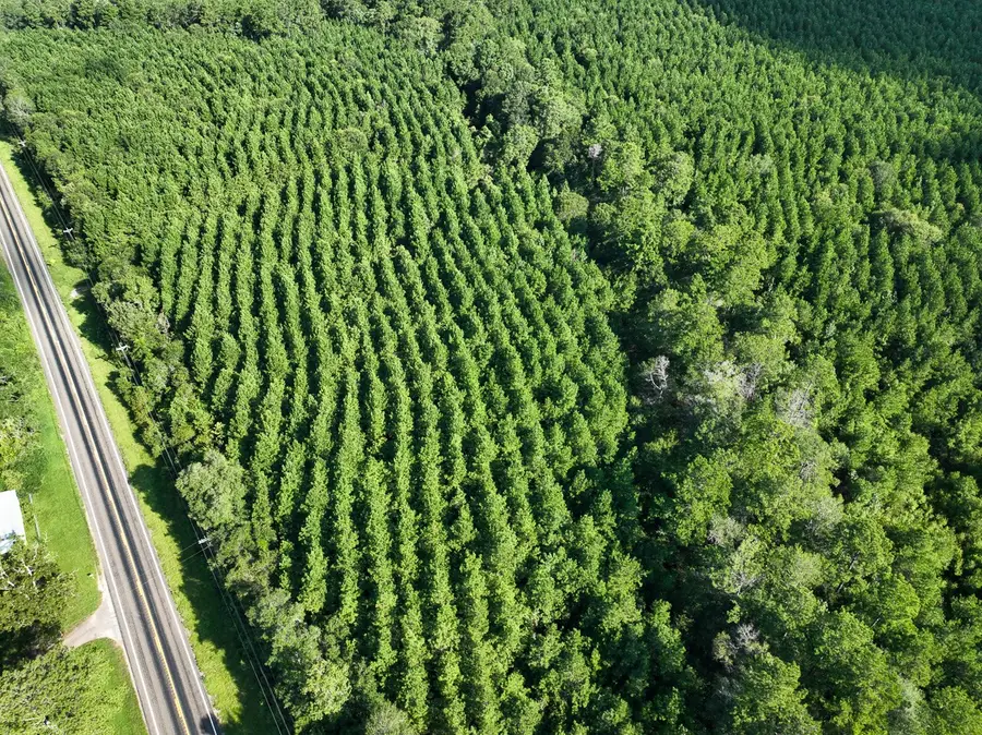 1 Fm 1013, Kirbyville, TX 75956 - Image #3