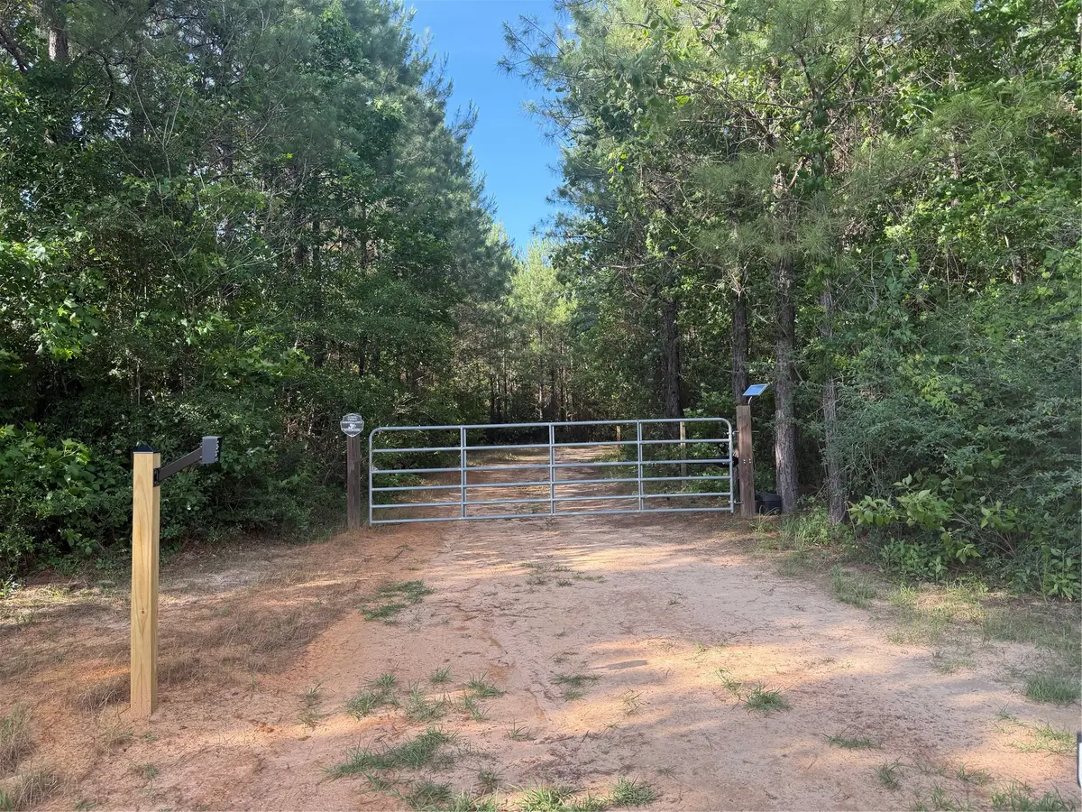 4419 Menard Chapel Road E, Livingston, TX 77351 - #1