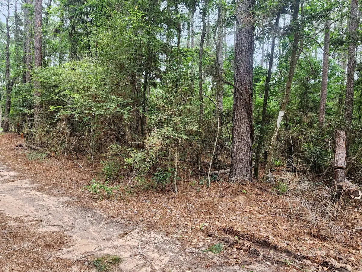 277 Long King, Livingston, TX 77351 - Image #1