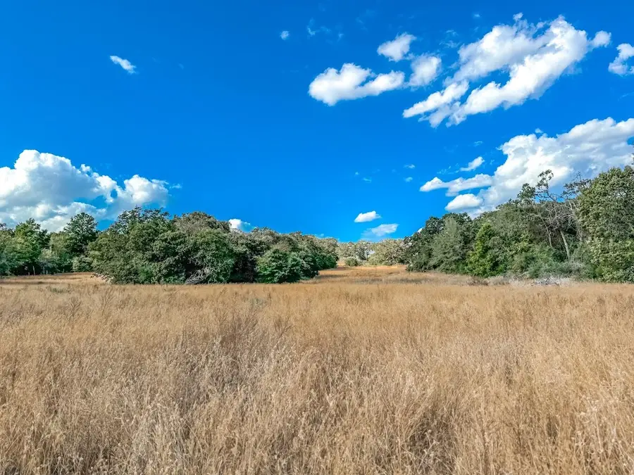 0000 County Road 237, Oakwood, TX 75855 - Image #3