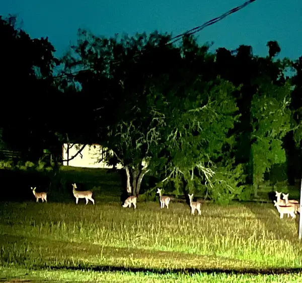 2217 Creek Road, Brookshire, TX 77423