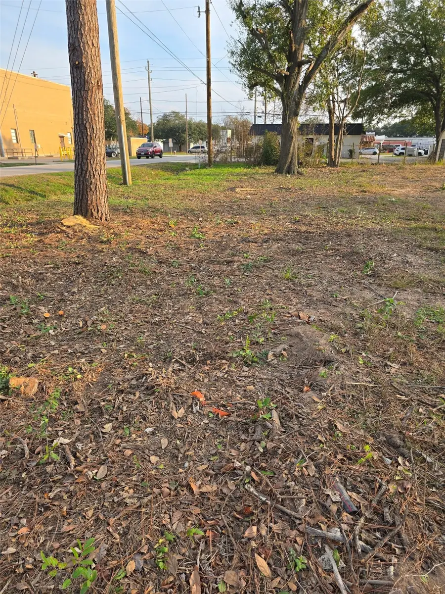 0 Houston Road Street W, Tomball, TX 77375 - Image #3