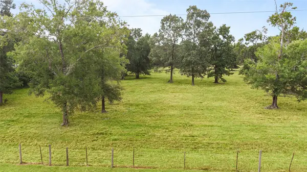 0 Turtle Road, Wallisville, TX 77597