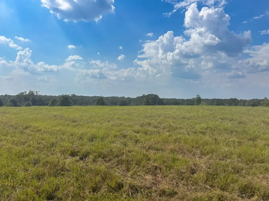 298 County Road 410, Buffalo, TX 75831 - Image #2