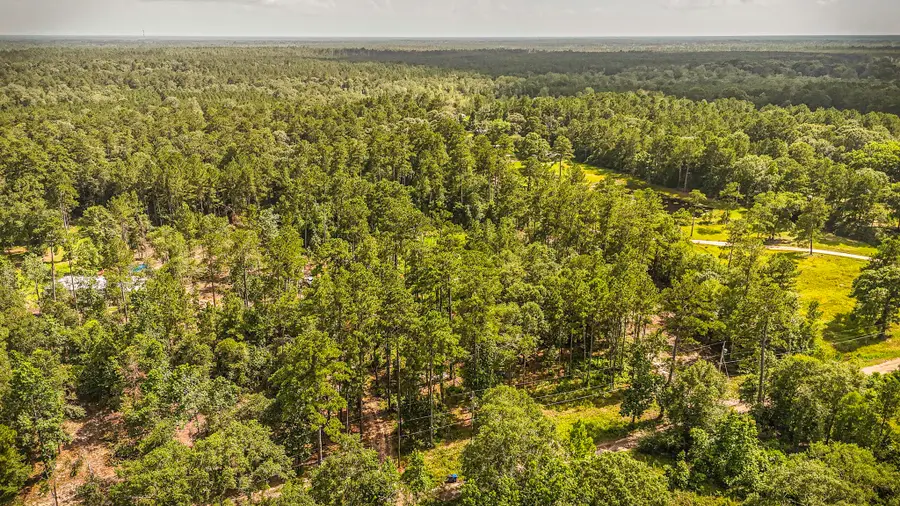 TBD Cr 1520, Warren, TX 77664 - Image #3