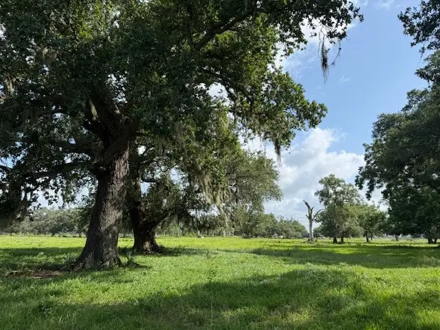 0 County Road 153 Sims Ave Road, Cedar Lane, TX 77415 - #1