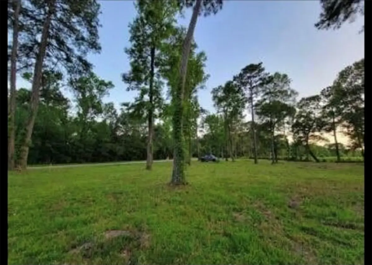 10171 Ehlers Road, Conroe, TX 77302 - Image #1