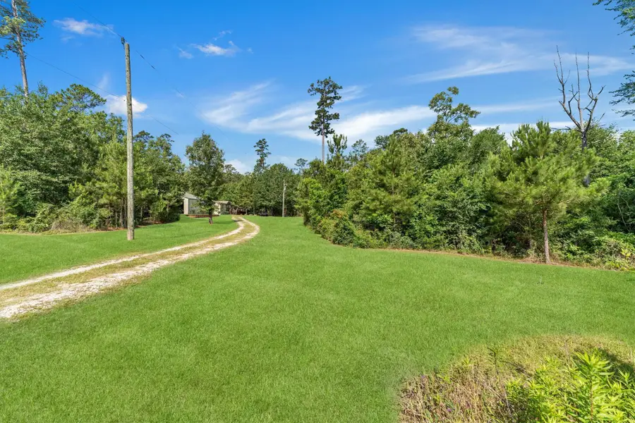 50 Fm 3179 Road, Huntsville, TX 77340 - #3