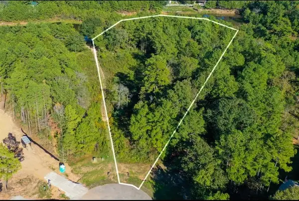 11600 Kirstens Court, Montgomery, TX 77316