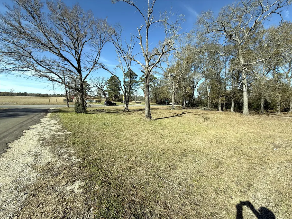 356 Skains Lane, Trinity, TX 75862 - #1