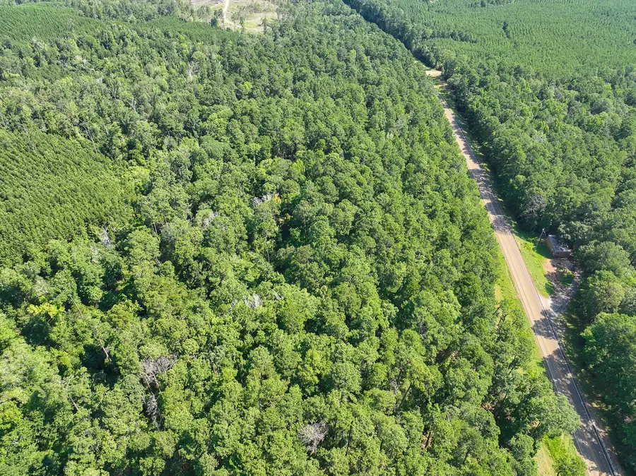 01 Highway 87, Milam, TX 75959 - #2