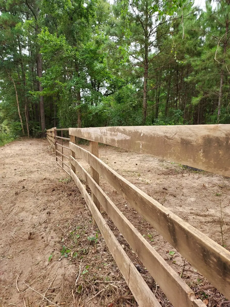 811 Plantation Drive, Livingston, TX 77351 - #2