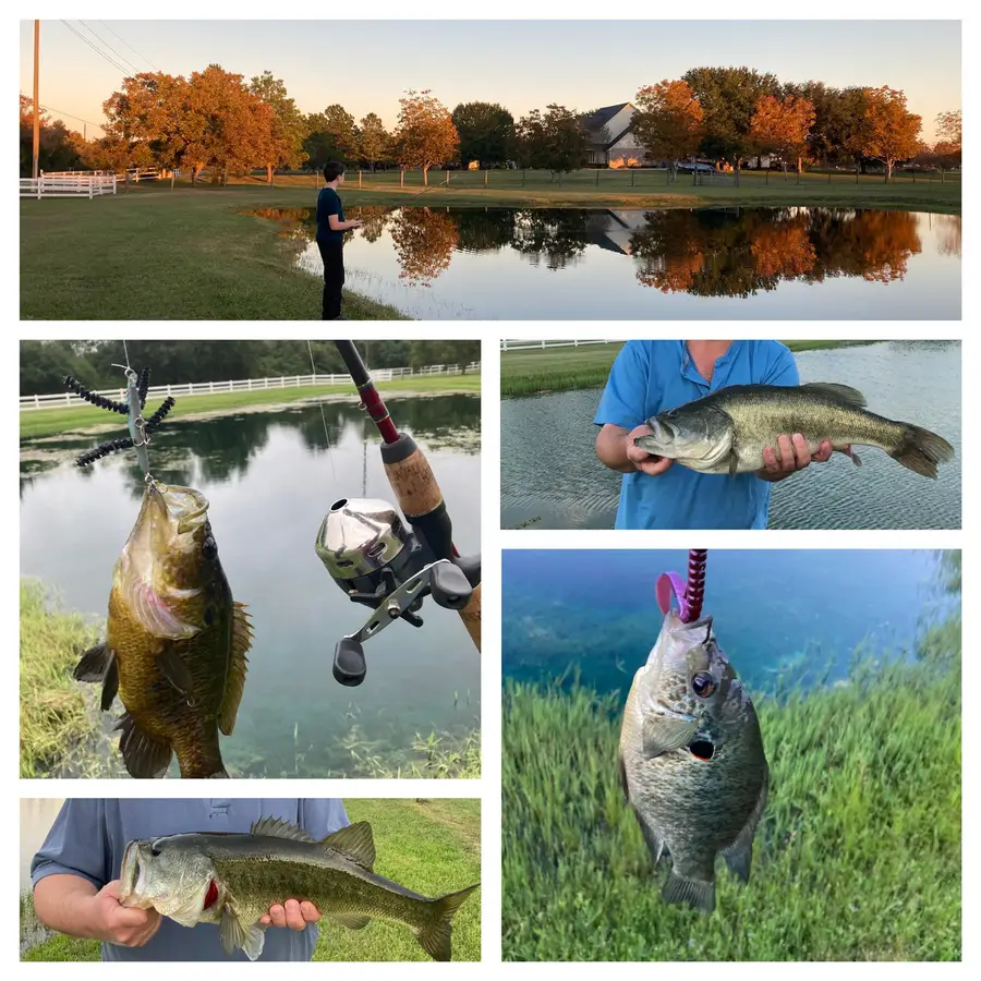 26831 Stockdick School Road, Katy, TX 77493 - #3