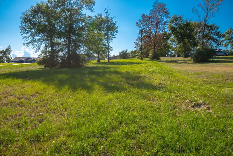 225 Peninsula Drive, Livingston, TX 77351 - Image #3