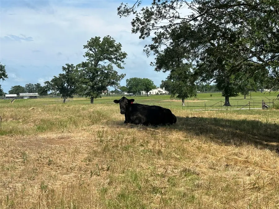 38535 Wiggins Road, Hempstead, TX 77445 - Image #2