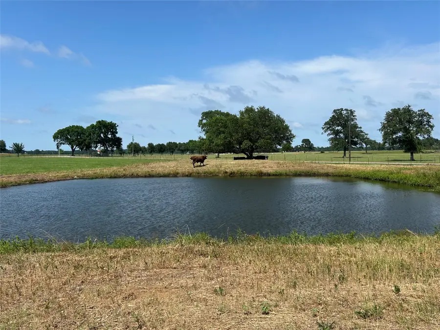 38535 Wiggins Road, Hempstead, TX 77445 - Image #3