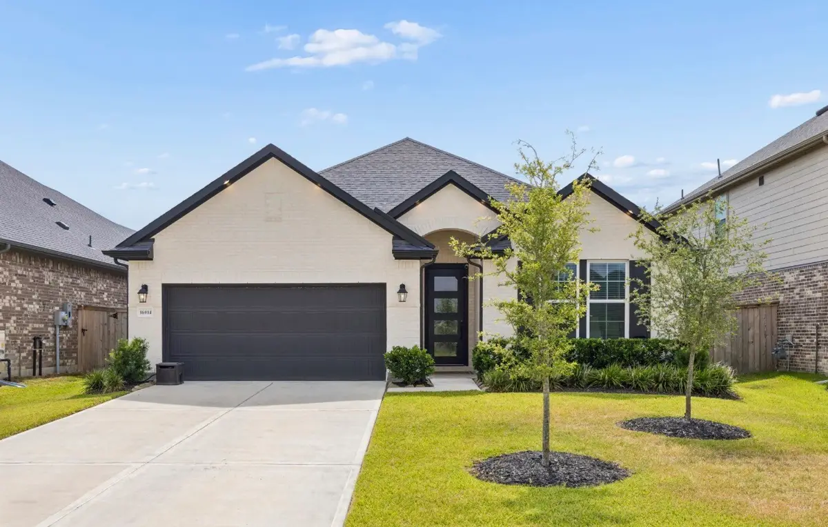 16014 Tangled Vine Lane, Conroe, TX 77302 - #1