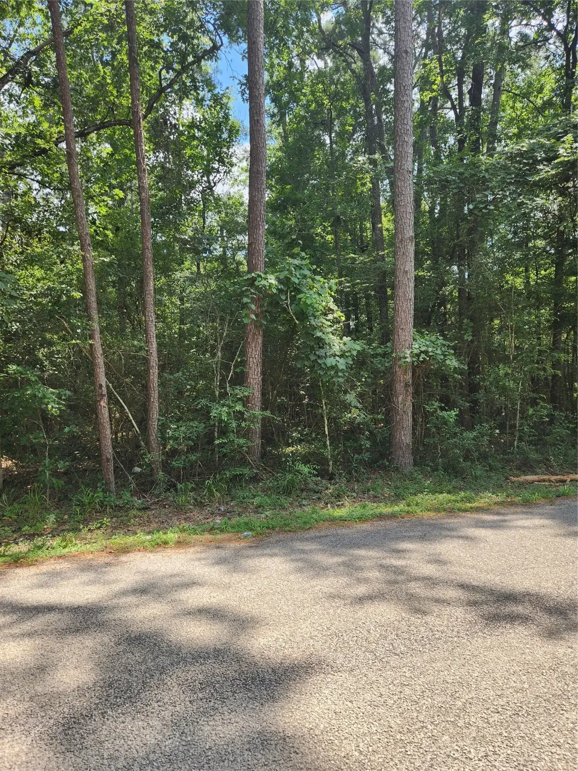 TBD County Road 373, Splendora, TX 77372 - Image #1