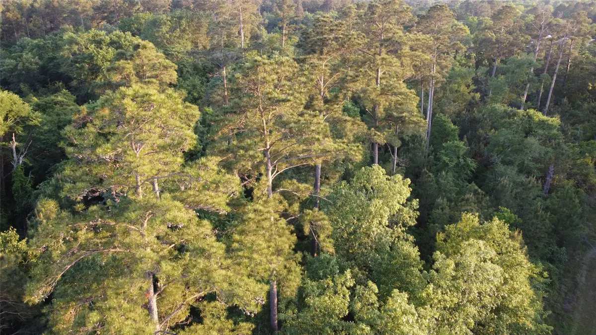 Tract B Lake Road, Riverside, TX 77320 - Image #1