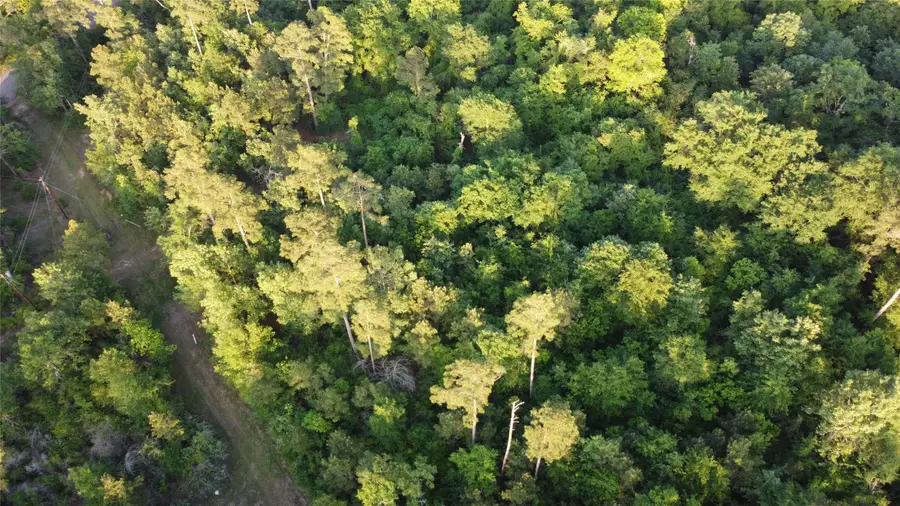 Tract B Lake Road, Riverside, TX 77320 - Image #2