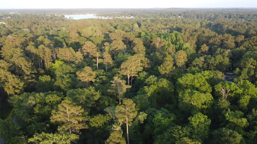 Tract B Lake Road, Riverside, TX 77320 - Image #3